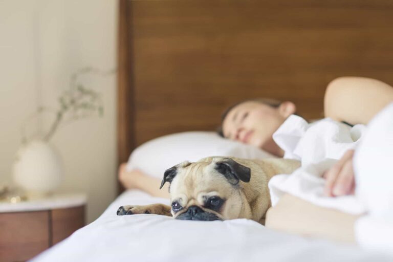 5 Sleep Specialists On What They Do When They Can’t Fall Asleep